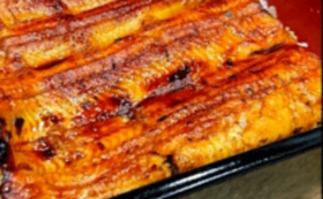 【美味しさを知っていただくことが支援になります】お試し！うなぎの蒲焼3人前