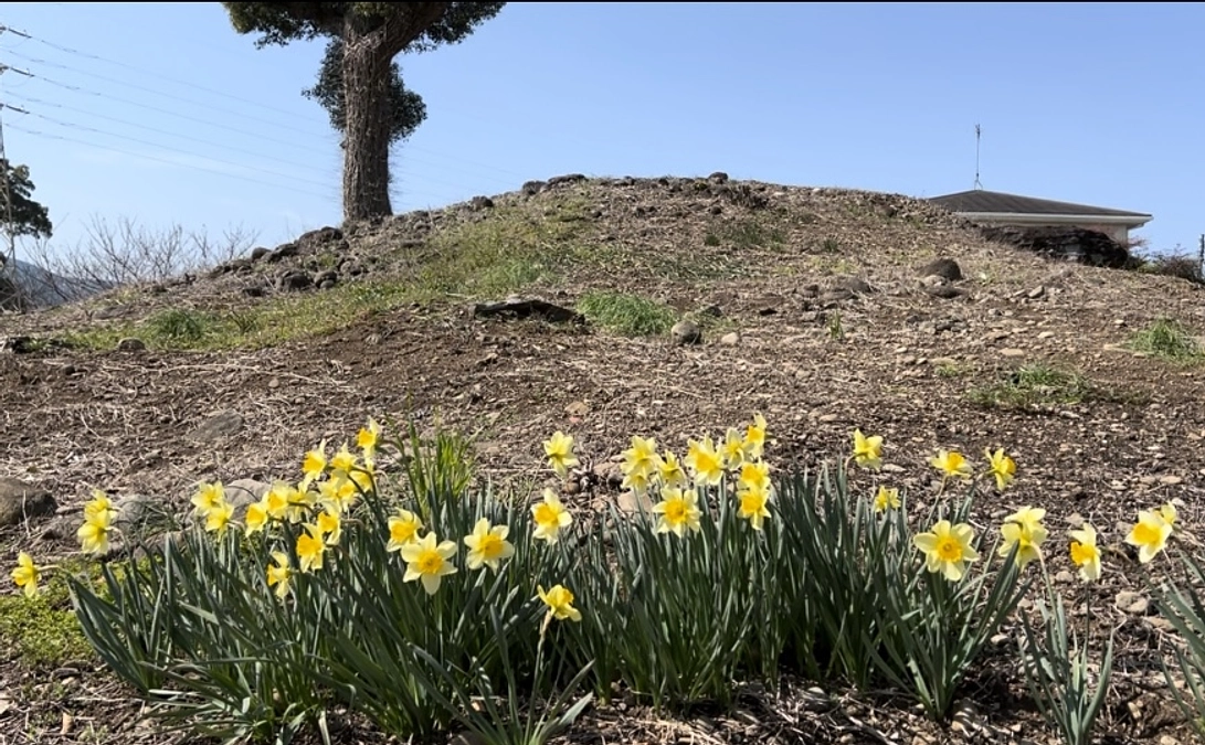 3月16日　今の風景