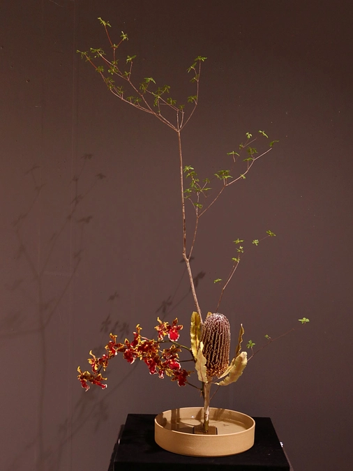 エントリーナンバーA06