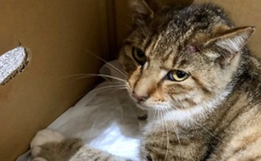 ご支援よろしくお願い致します