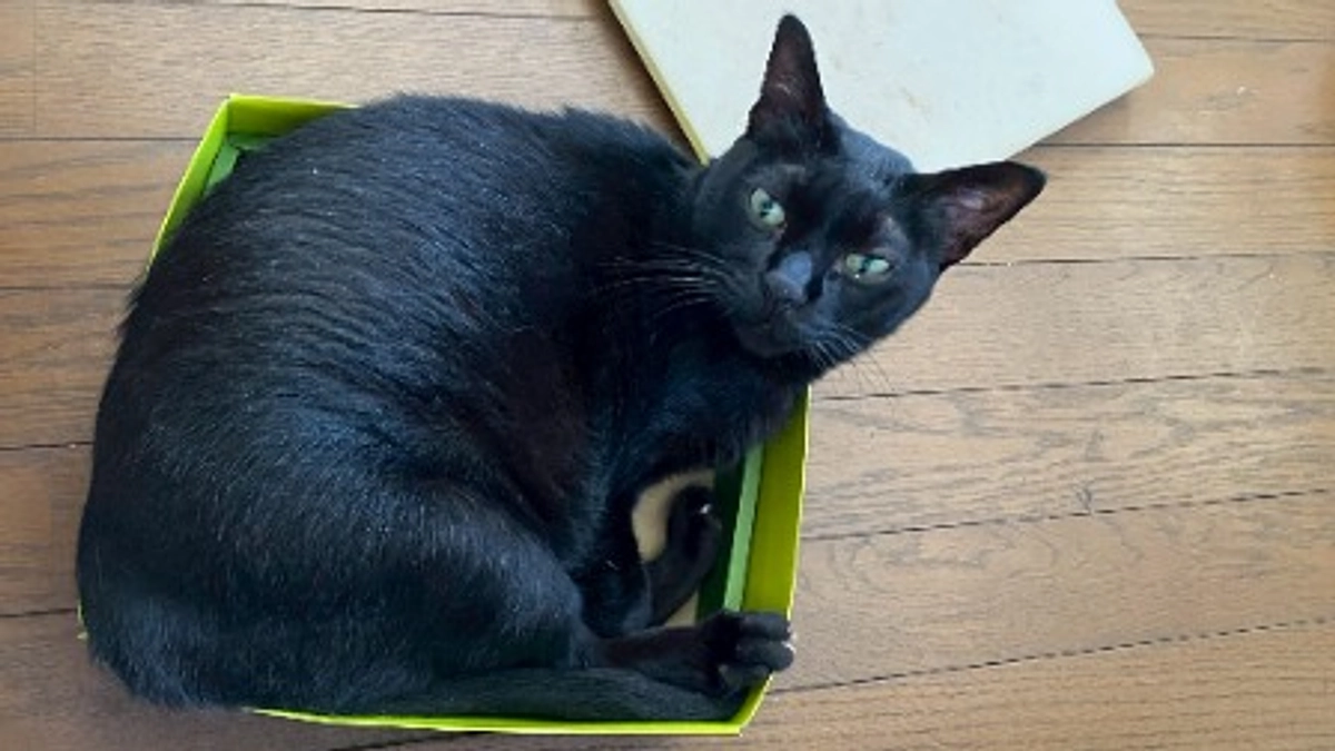 【19日目】「日常」こそが、防災への「最高の準備」