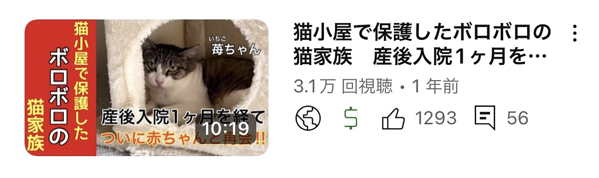 産後1ヶ月目でようやく赤ちゃんに再会できました