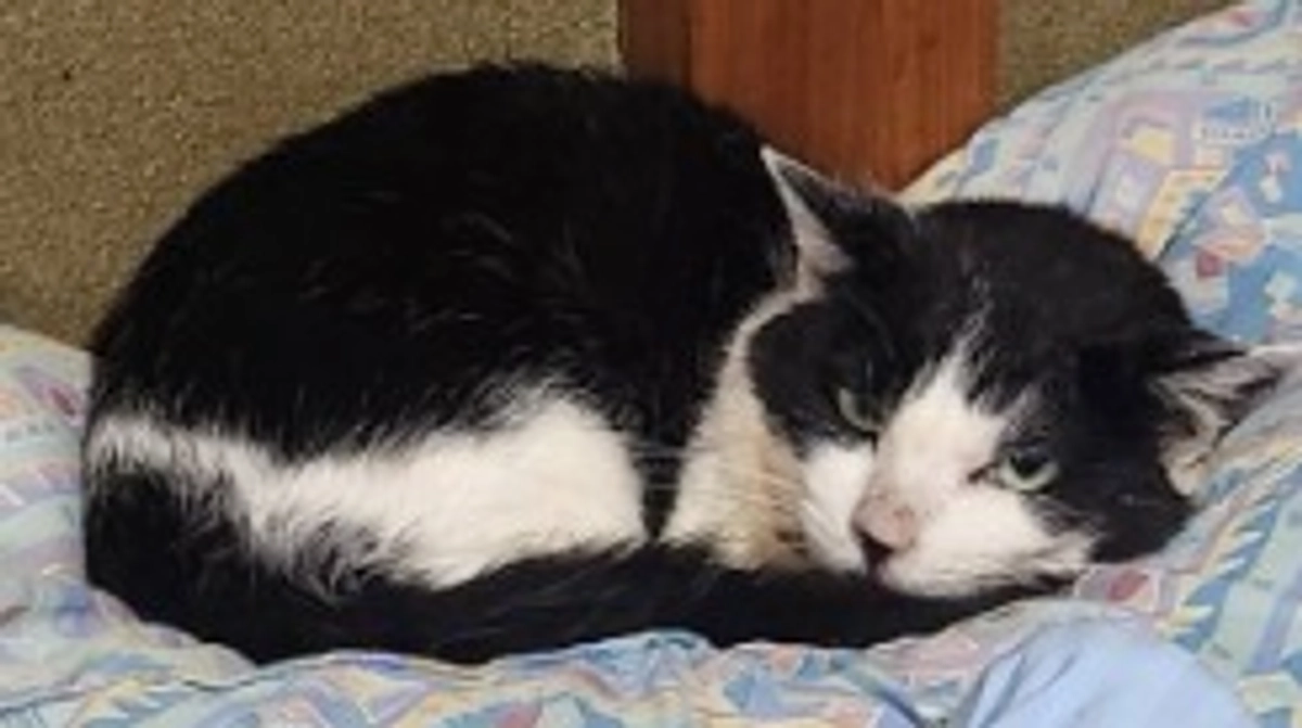 マリアの変化✨️