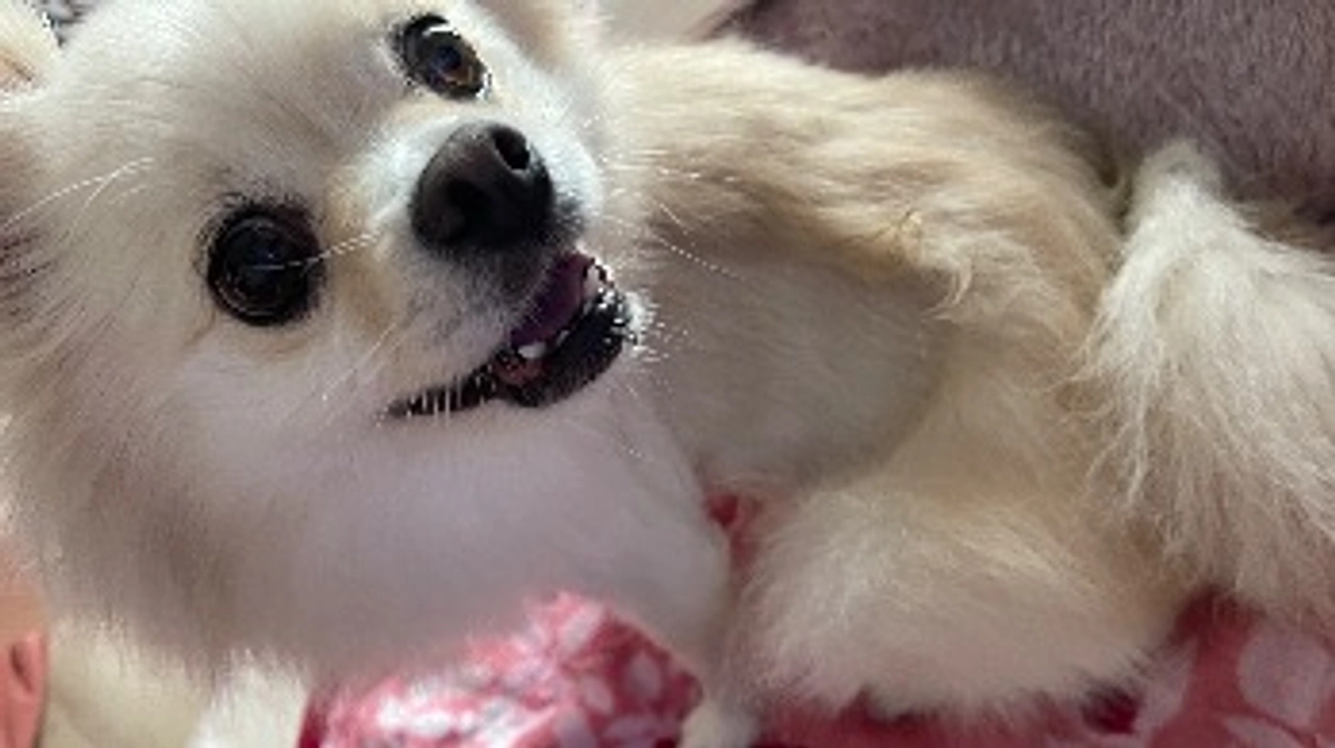 入金されました🙇🏻‍♀️‪‪