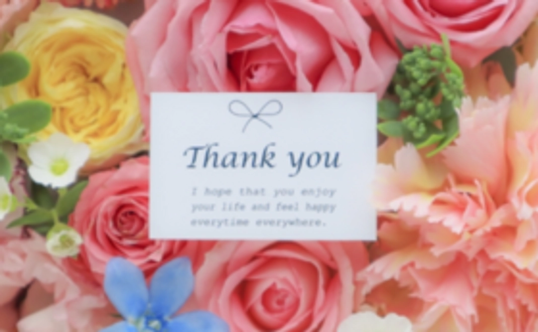 rencotre 全力応援コース