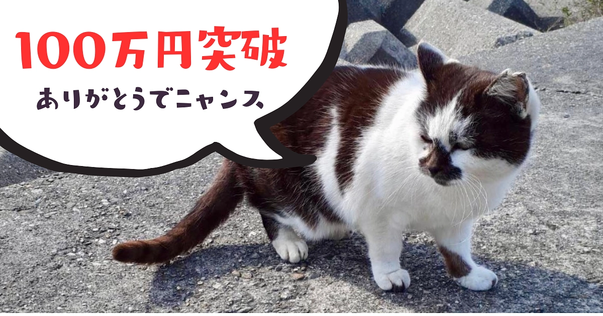 100万円突破！ありがとうございます！