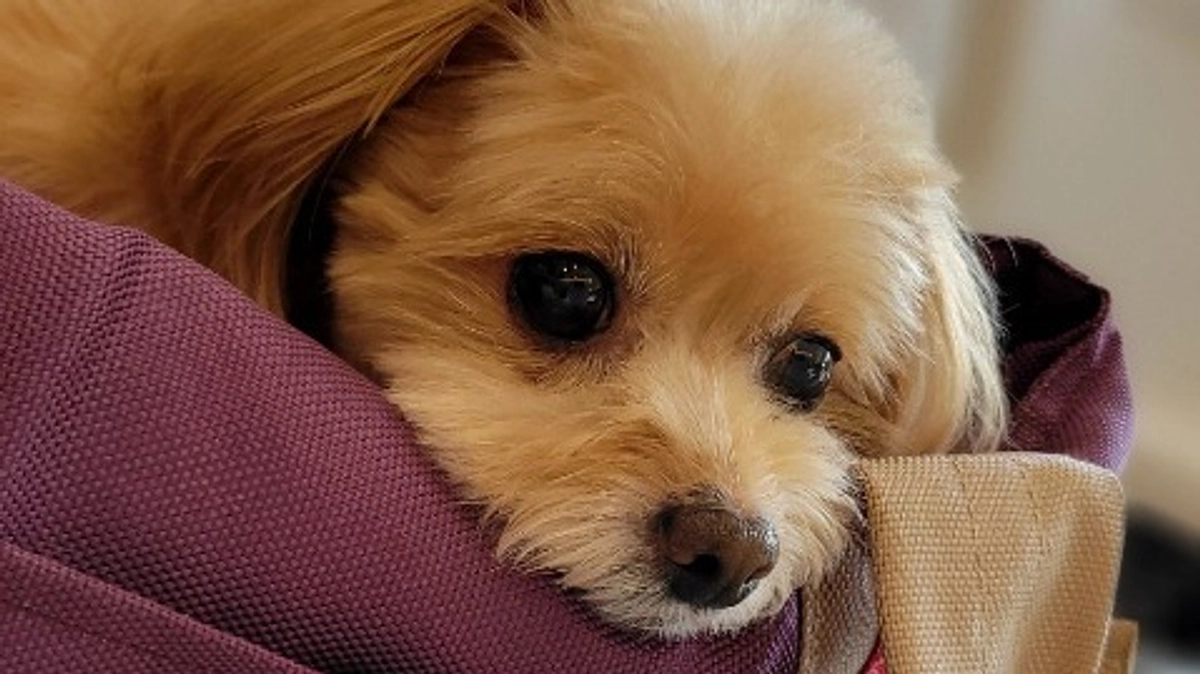 退院後１カ月の検診