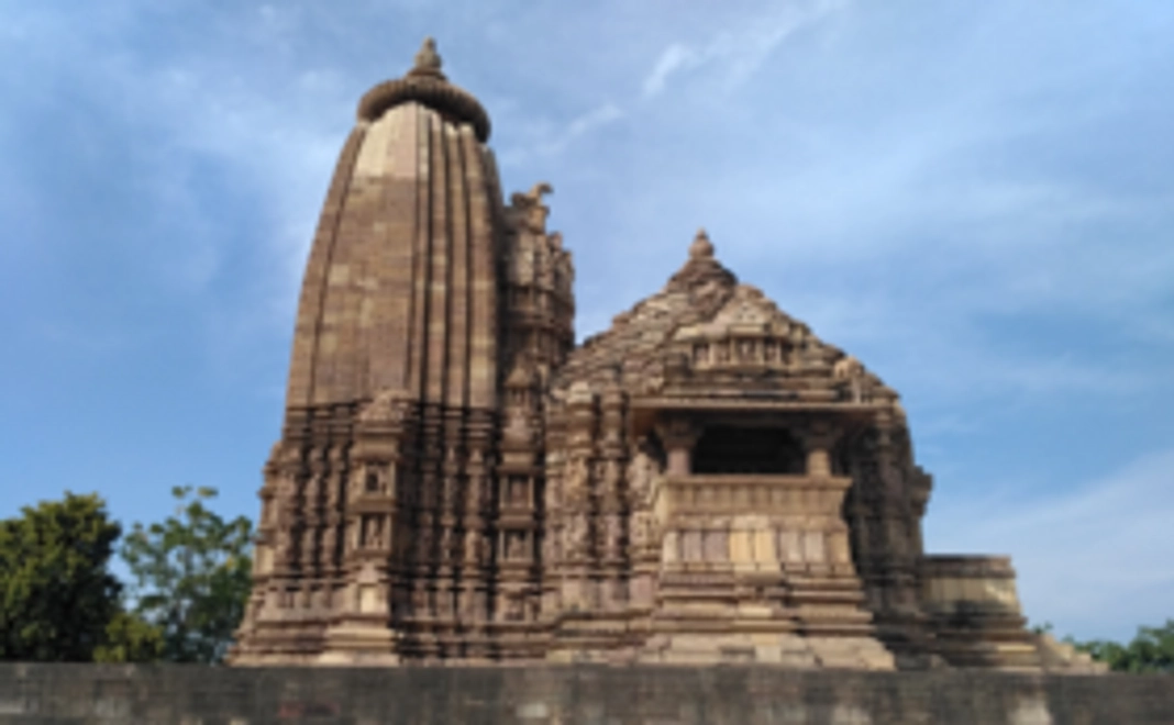 プロジェクトへ全額支援