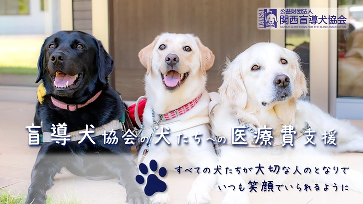関西盲導犬協会｜これからもずっと、犬たちの健康と笑顔を守るために