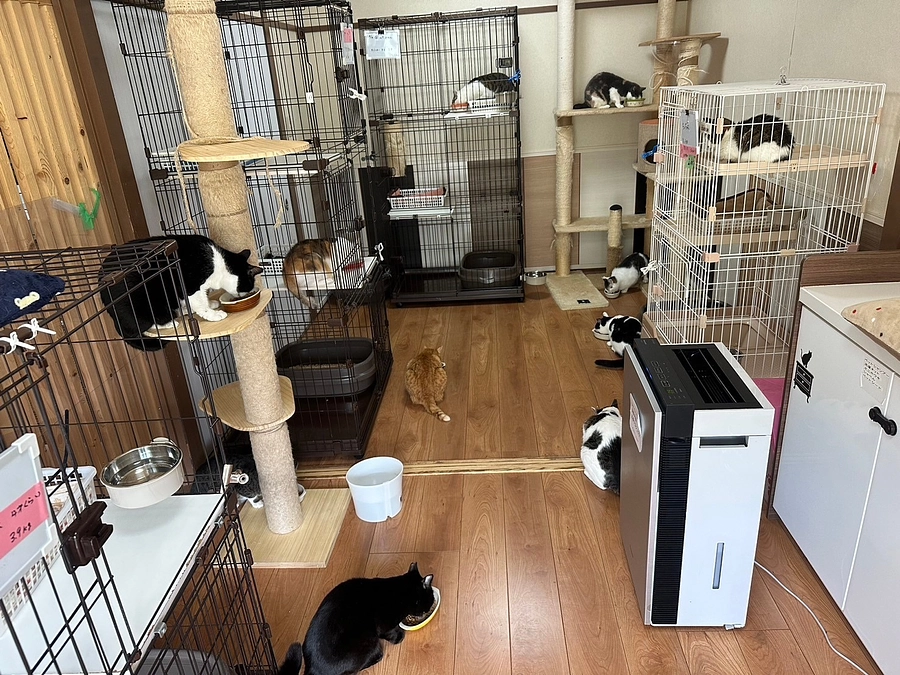 プロジェクト達成にむけて！