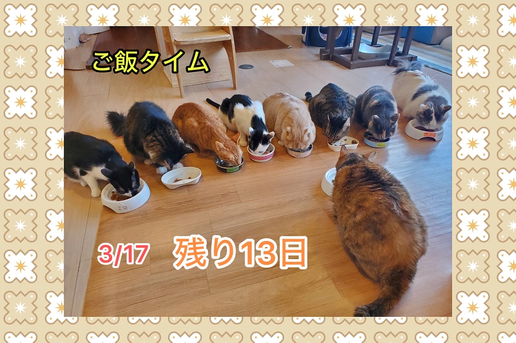 マイクロチップと医療費（3/17　残り13日間）