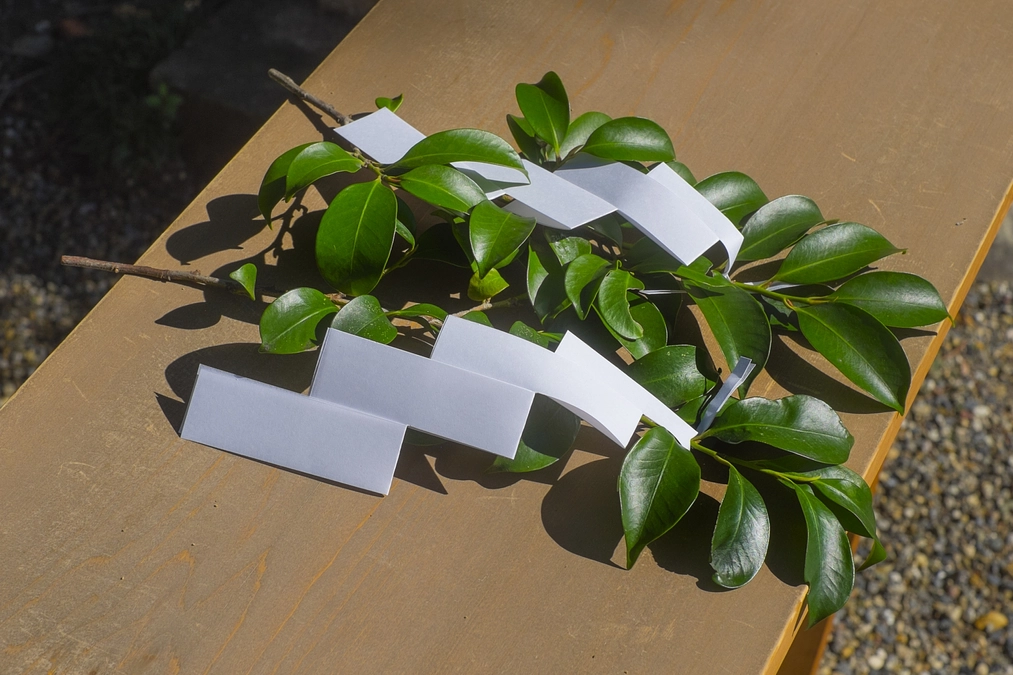 【御礼】プロジェクト成立の御礼