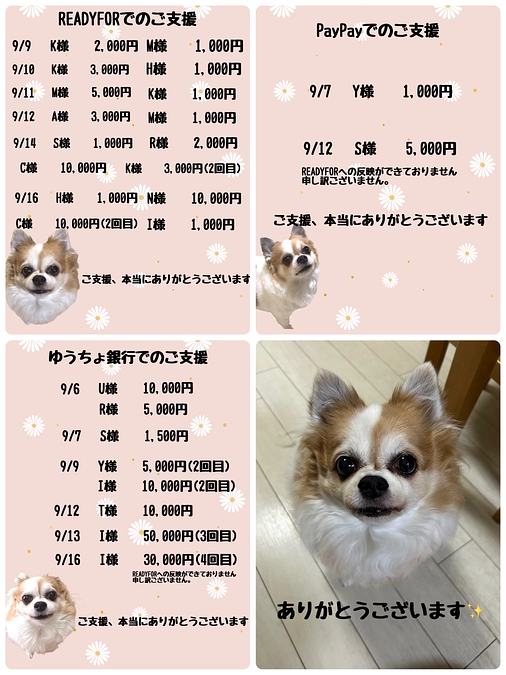 9月9日から9月16日までのご支援