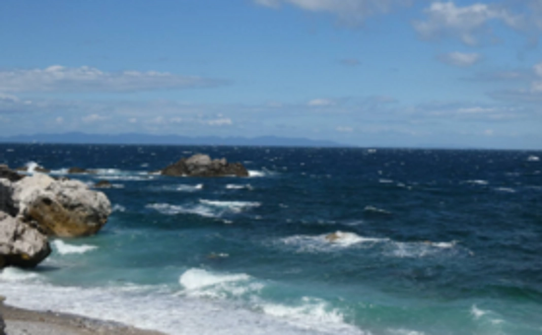 カメラで撮影した写真のフォトカードを差し上げます！