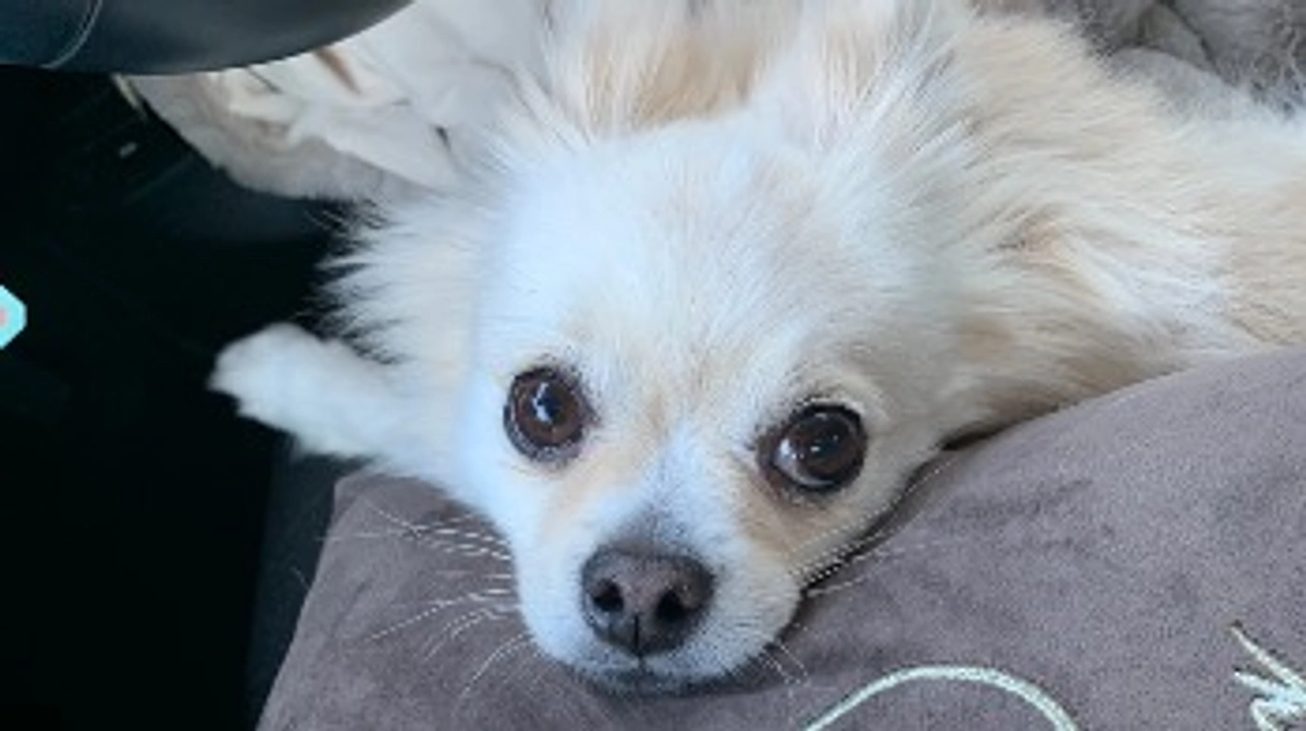 🆘残り22日🆘　皆様へご報告🍀