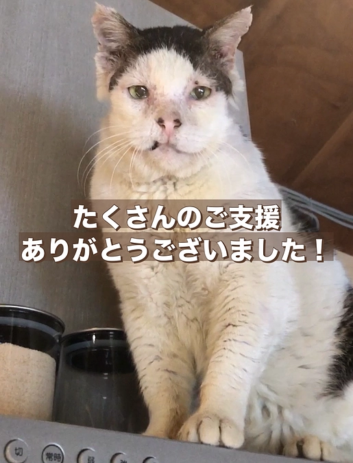 最終結果のご報告