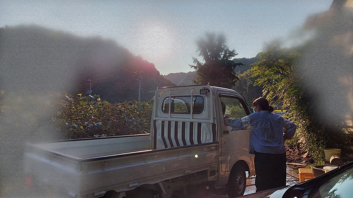 遺棄は犯罪です。不幸な猫さんが増えない活動をしています‼️