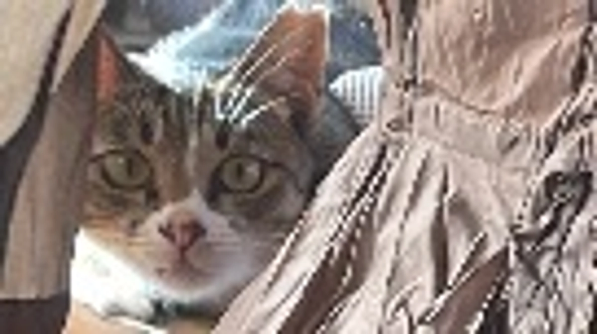 ちびちゃんの様子。