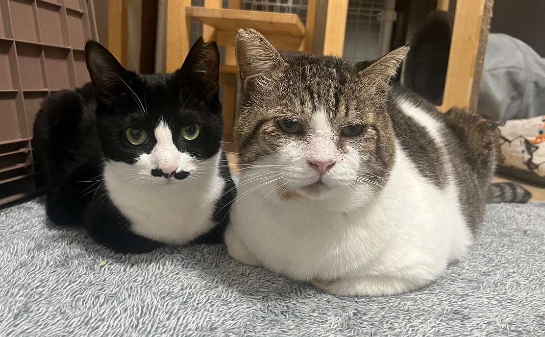 リターンなしコース3000円