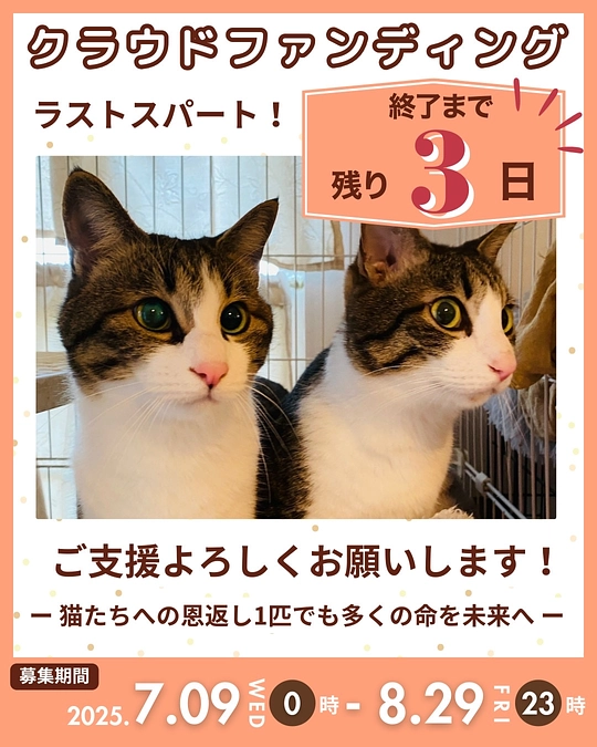 今日のお世話と近況報告8／26版