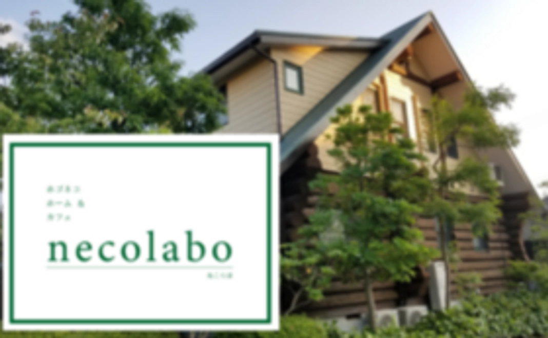 【追加】教室受講チケット