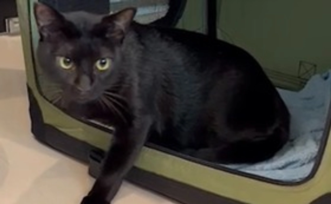 毎月応援1,000円コース！