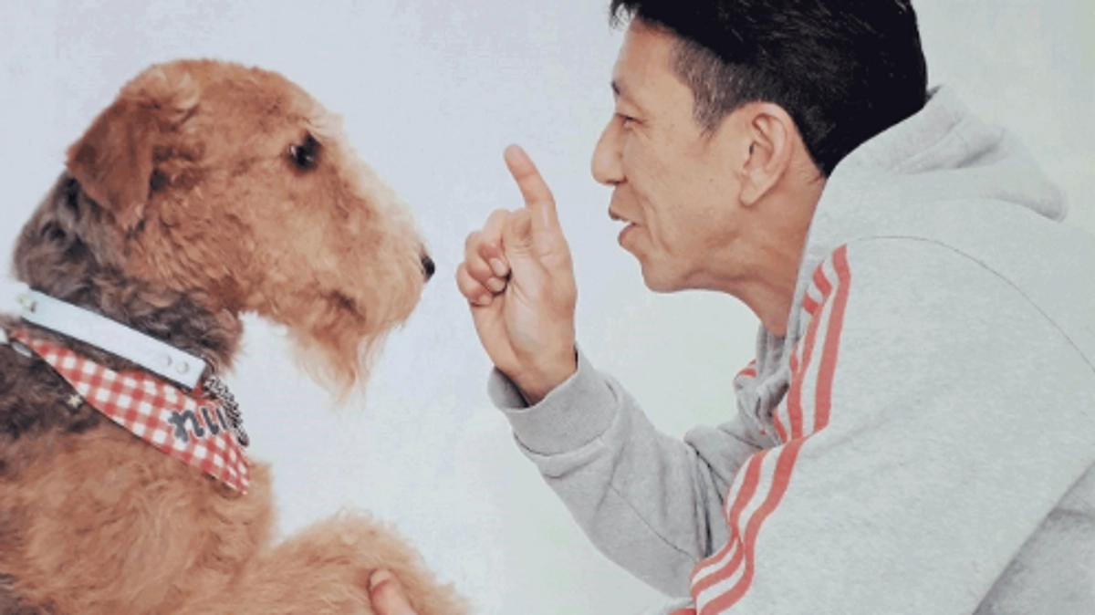 【売れ残りは冷凍処分!?】九死に一生を得た元保護犬で、僕の相棒レイリー。多くの犬を救うも、腫瘍が…