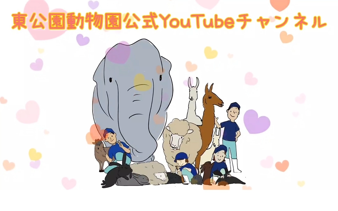 【活動報告71】今日も暑い一日でした。涼しいお部屋でお休み前にもう少しおつきあいくださいm(__)m