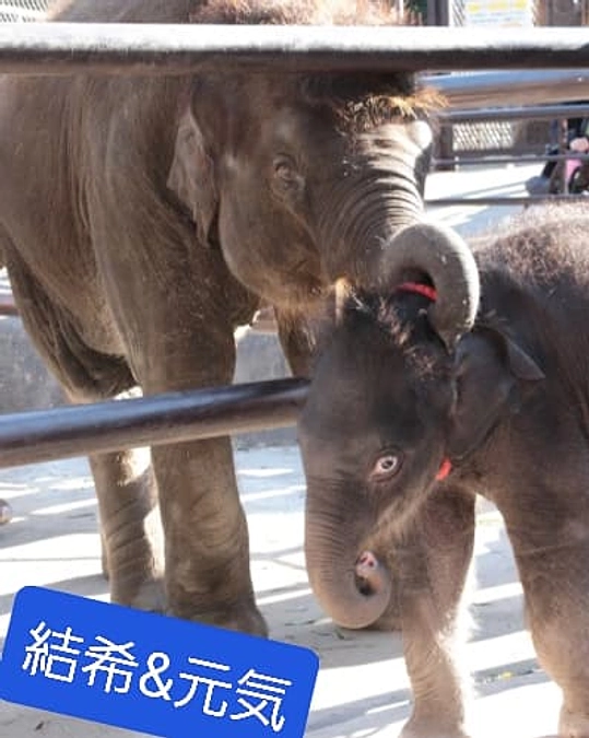 あと２時間★元気なお尻Ｔシャツリターン