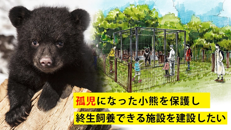 孤児になったツキノワグマを助けたい！