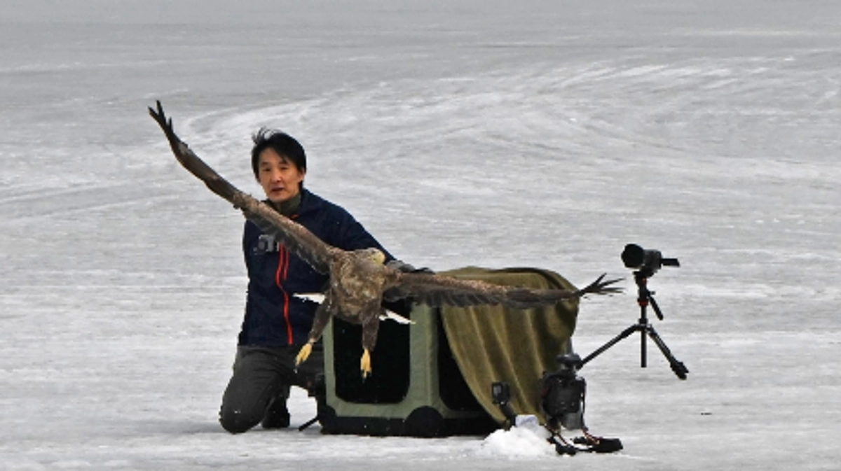 野生に帰す瞬間に思うこと