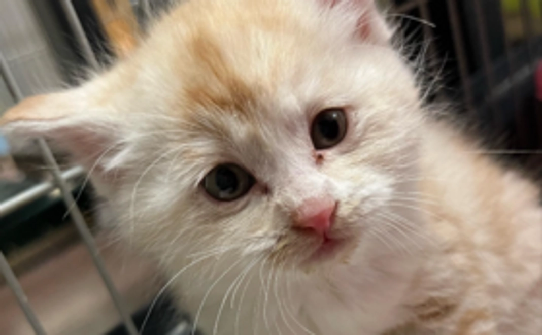 【リターン不要】3000円応援コース