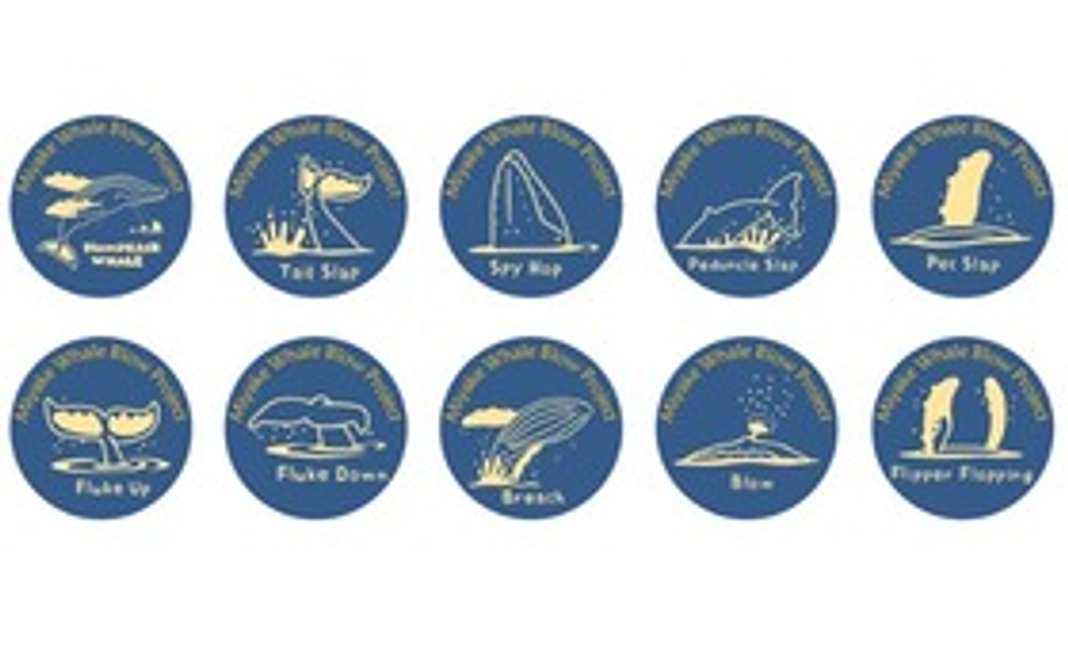 3千円｜お気持ち応援！調査隊員コース