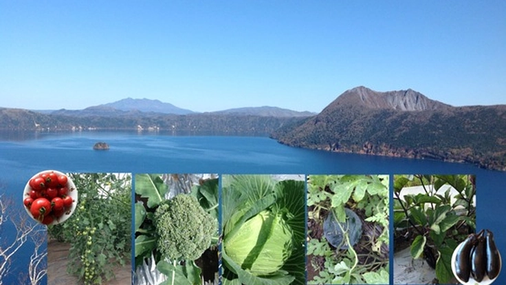 北海道の安心安全な無農薬野菜をたくさんの人に届けたい！