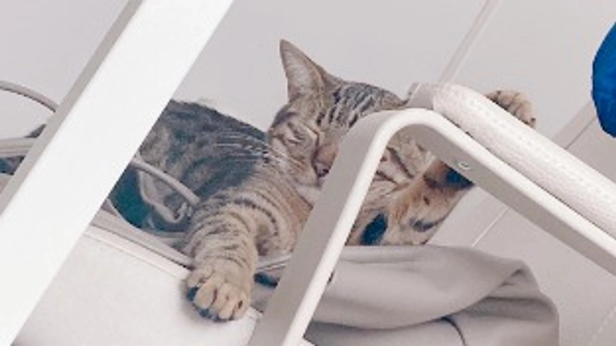 血液検査の結果が…