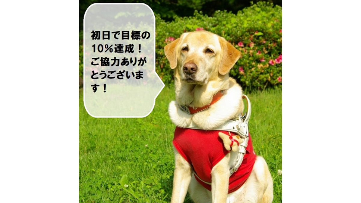 プロジェクト　2日目