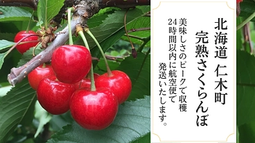 北海道仁木町のさくらんぼを美味しさのピークで届けたい！ のトップ画像