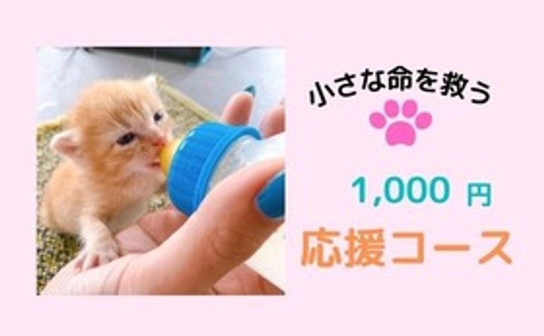 1,000円応援コース