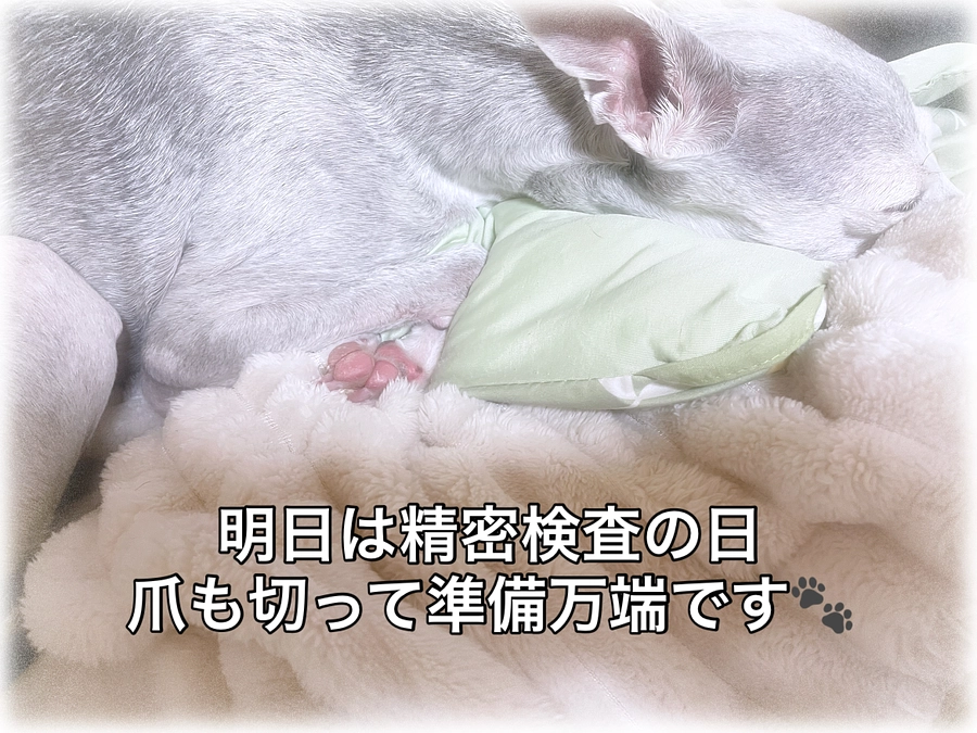 精密検査の日です🏥