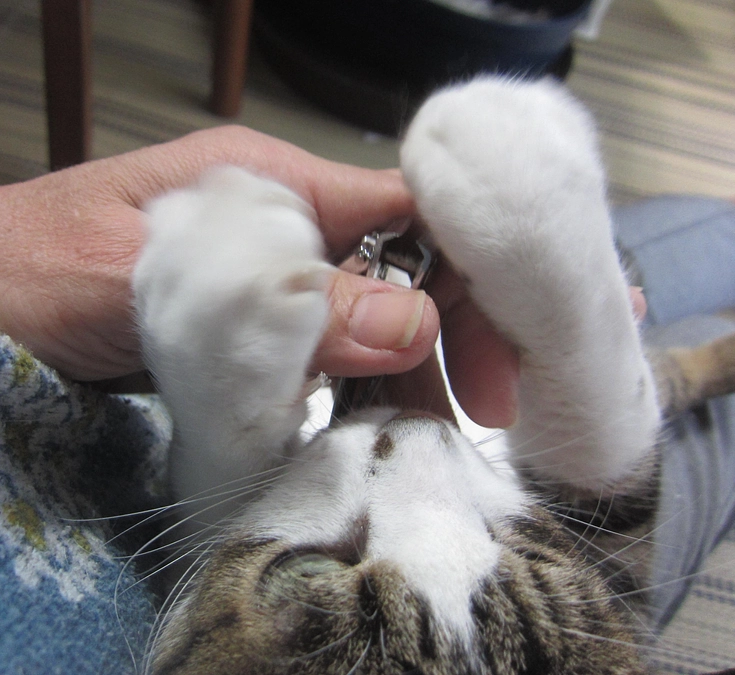 11月18日／今日は寒さも加速しました