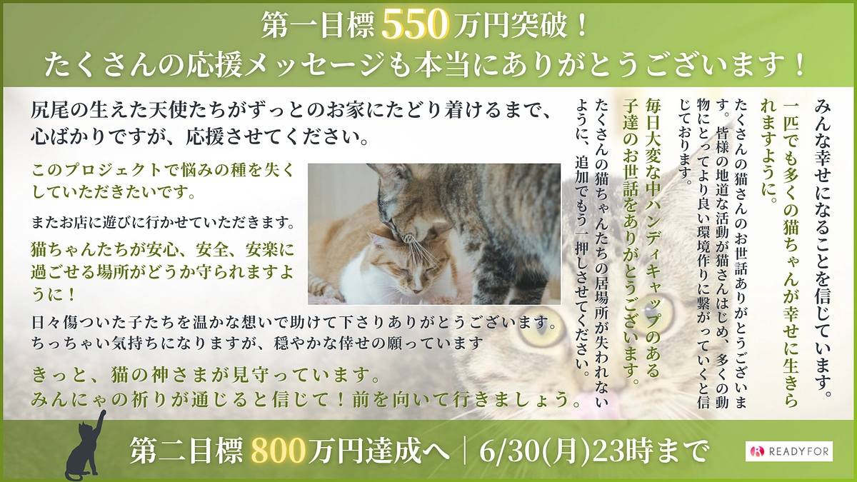ついに第一目標550万円到達！第二目標800万円に向けて引き続き応援よろしくお願いします！