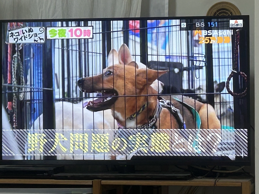 目標まであと32万円！チラシ配布協力店の皆さま③茅ヶ崎市以外にも！