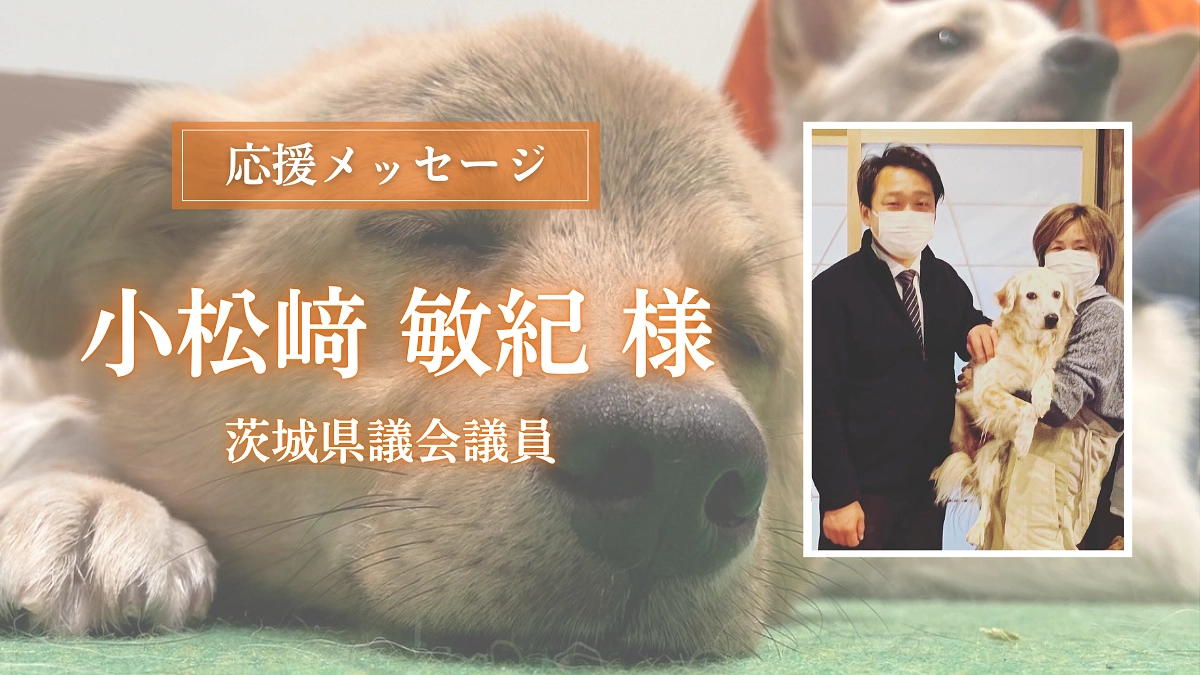 茨城県議会議員の小松﨑 敏紀様からの応援メッセージのご紹介