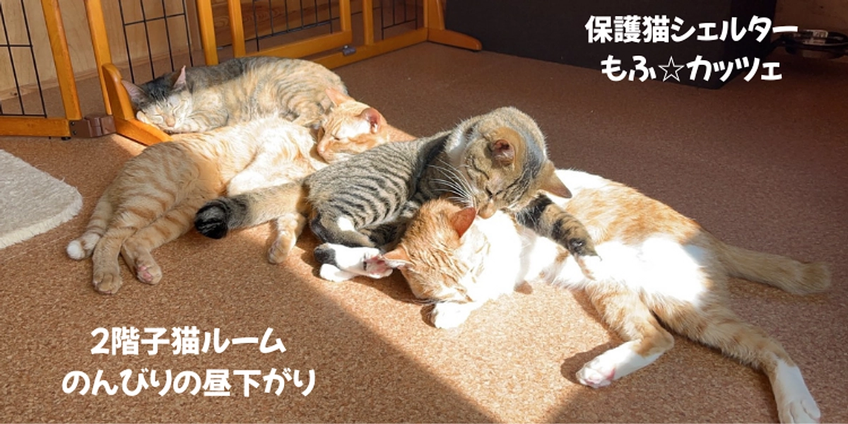 挑戦！残り４日になりました☆