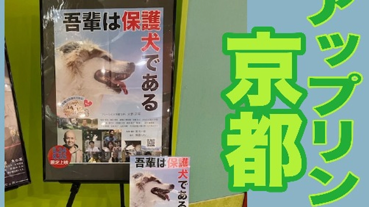 『京都』気合いが入っています！！