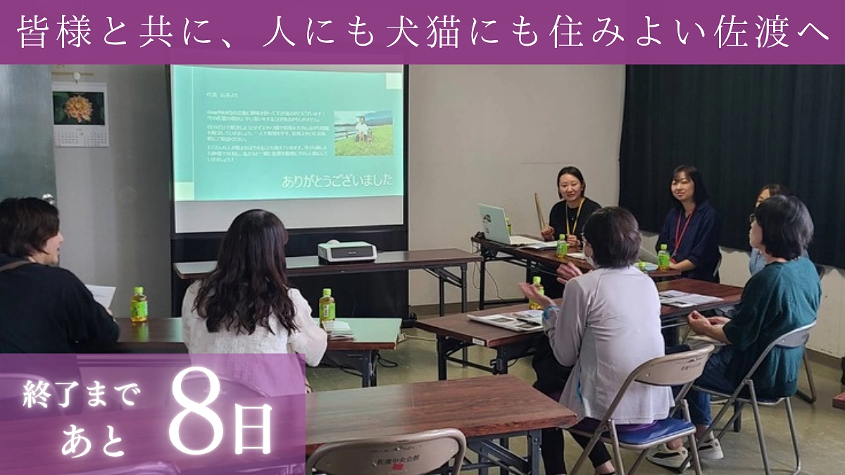 【残り8日！第一ステップまであと34万円！】一緒に活動してくれる仲間を募集しています！