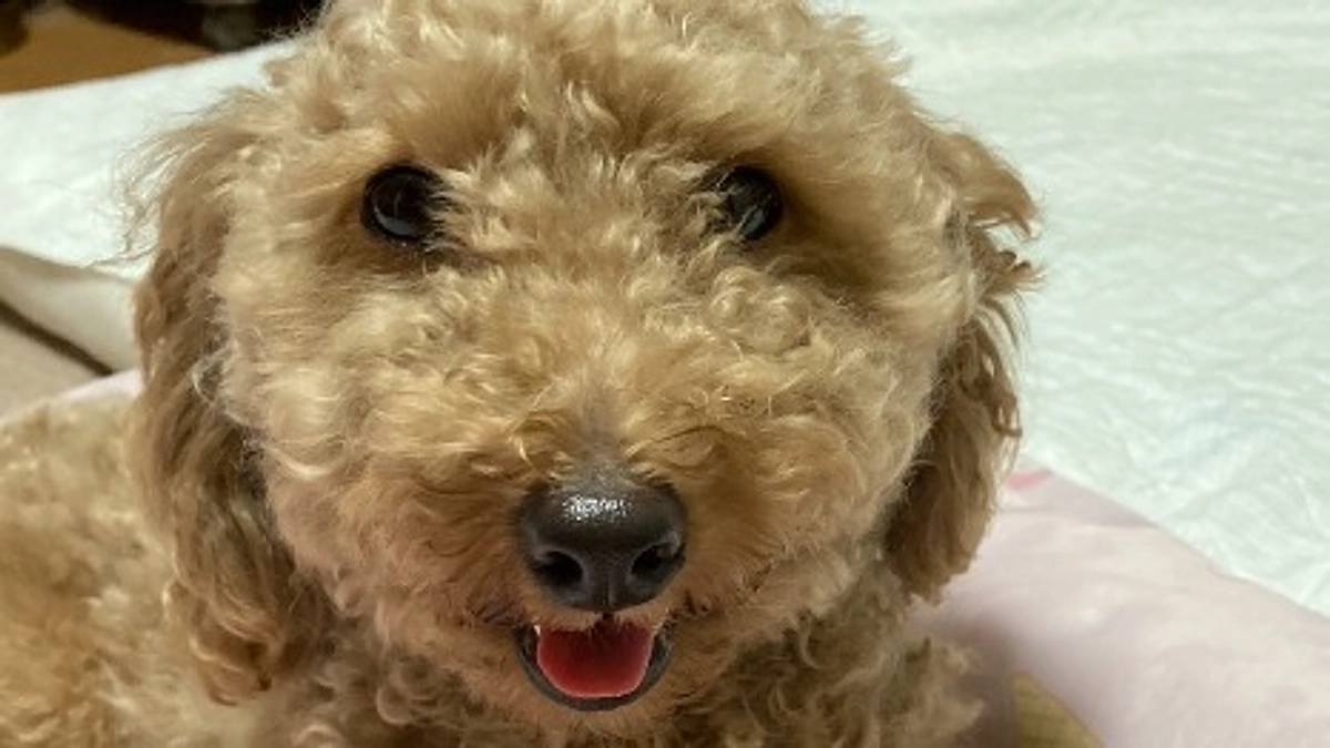 クルの近況報告　7月