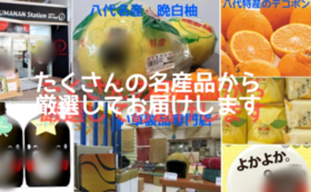 サプリメント開発応援コース　２