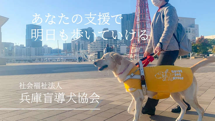 盲導犬の明日を守りたい、コロナ禍であっても！【医療費支援のお願い】