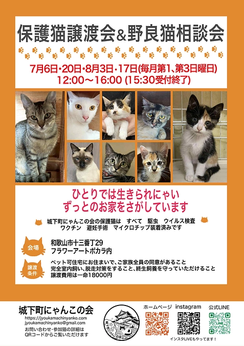 明日7月6日は　保護猫たちの譲渡会&野良猫相談会　開催
